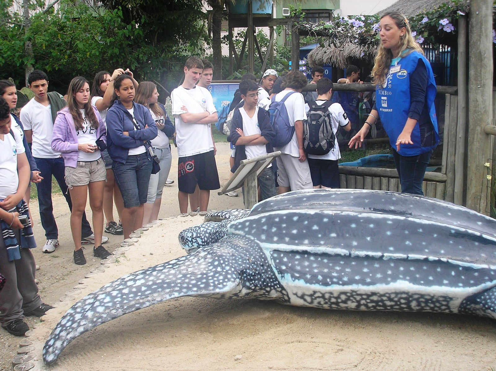 Самые большие пребольшие. Гигантская кожистая черепаха. Гигантская кожистая морская черепаха. Кожистая черепаха в Амазонке. Самая большая кожистая черепаха в мире.